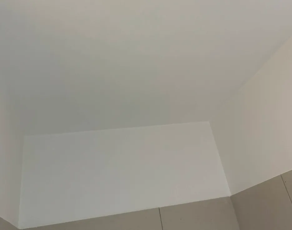 Wand nach professioneller Schimmelbeseitigung